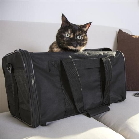 Easy Explorer Medium Guaranteed On-Board Travel Pet Carrier, Black - Picture 2 of 6
